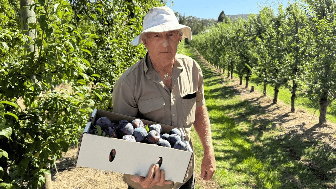 Donnybrook: where apples meet art, adventure and hidden gems