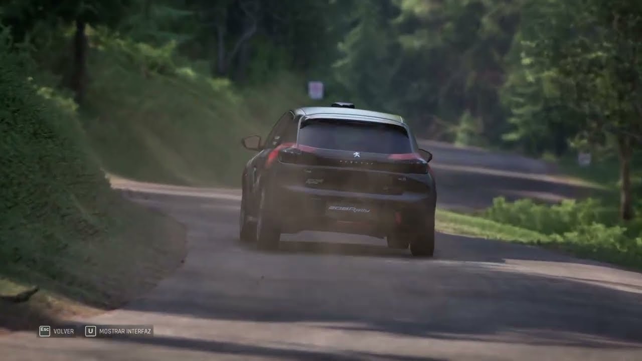First time in Assetto Corsa Rally 2025 | Borja Kankkunen | Peugeot 208 Rally4