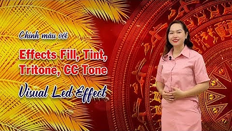 Hướng dẫn học Visual Led After Effects: Thiết kế Effects Fill, Tint, Tritone, CC Tone