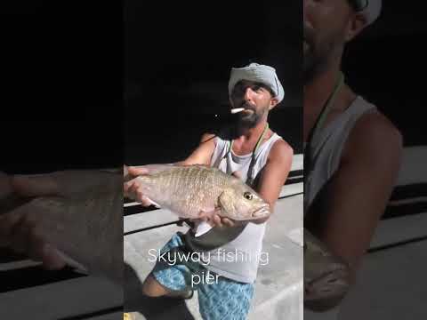 Skyway bridge #fishing