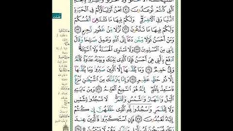 الصفحة (480) من المصحف الشريف ( سورة فصلت - مشروع حفظ القرآن الكريم )