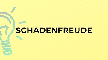 What is the meaning of the word SCHADENFREUDE?