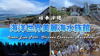 沖繩海洋博公園【海洋世界美麗海水族館】Ocean Expo Park - Okinawa Churaumi Aquarium