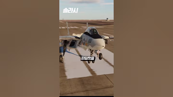 처형 대상이었던 이란 F-14 파일럿 ㄷㄷㄷ