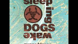 Video thumbnail of "Sleeping Dogs Wake - Waiting for Night"