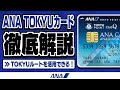 【陸マイラー必見！】TOKYUルートを活用できる！ANA TOKYUカードの魅力とお得に発行する方法【ANAマイル】