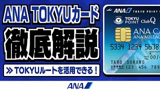 【陸マイラー必見！】TOKYUルートを活用できる！ANA TOKYUカードの魅力とお得に発行する方法【ANAマイル】