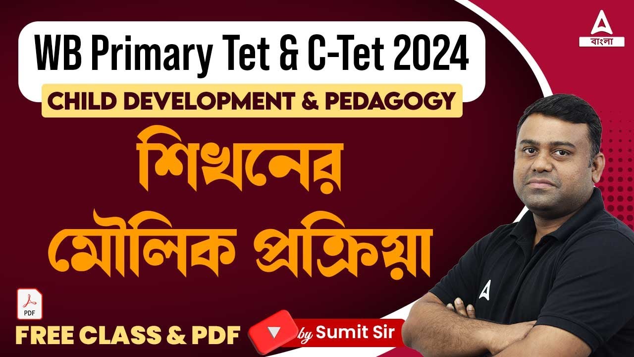Tet Basic WB Primary TET, CTET 2024 | Basic Process Of learning l WB Primary Tet ...