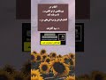 مینا آقا زاده شعر آفتاب من مینا آقا زاده شعر آفتاب من