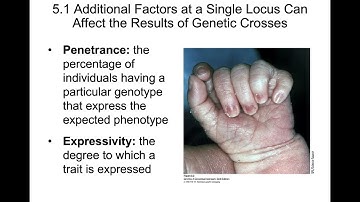 Chapter 5- Extensions and Modifications of Basic Principles