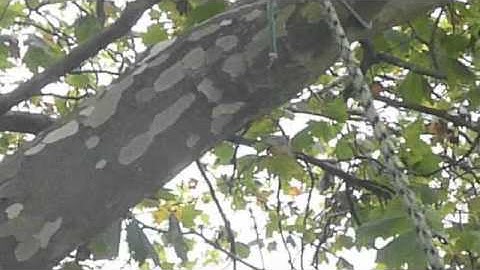 Retrievable redirect