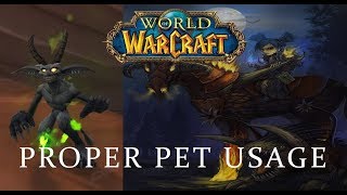 WoW Classic How To Use Your Pet Properly