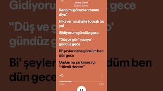 Yener Çevik - Hüznü Ecem