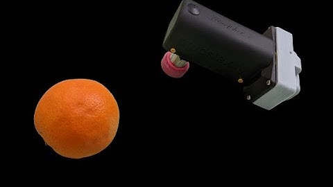 Agrosta Kingfisher : Firmness tester for citrus and avocado