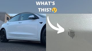 SERIOUSLY!! Why Me and Why My Tesla Model 3 Paint
More Tesla Model 3 damage! I run through the latest damage and the quotation to fix such an issue. I get multiple SMART repair quotes and a Tesla body shop quotation. Ultimately, I need your help to determine if you think this is external damage or if the paint is flaking. Plus if you think the quotes seem legitimate and if you have any advice that you could share for my tesla model 3 SR+
If you want to join the same energy provider as me and get the cost-effective Octopus Go tariff we can split £100. If you are interested then use this link below - https://share.octopus.energy/river-gull-450
Like my black wheel covers? Take a look at my youtube video below to find out how I did this at home with ease - https://youtu.be/zzK5mC31w8M
My Kit list, with mainly Amazon links to all my accessories:
https://kit.co/adamwellinformed
Bit of a strange question, but do you want a months worth of discounted food?! Are you bored of cooking the same thing week in, week out? Want some super easy to follow recipes and the fresh ingredients delivered to your door? Why not give Gousto a try - https://cook.gousto.co.uk/raf/?promo_code=ADAM42867448&utm_source=iosapp
Please note some of these are affiliate links.
If you find these videos helpful, Id be grateful if you could Like and Subscribe to the channel for more Tesla, Tech and Money Saving videos - with the odd dad joke thrown in 😎
You can also follow my Instagram, Twitter and now Tik Tok for cheeky quick tips and insider info:
https://www.instagram.com/adamwellinformed/
https://twitter.com/adamwellinform
https://www.tiktok.com/@adamwellinformed?lang=en
eCompCalcs Social Media Channels:
https://www.instagram.com/ecompcalc/
https://twitter.com/eCompCalc
TIMESTAMPS
00:00 Intro
02:45 The Paintwork issue
03:12 Rant about issue and UK car insurance
05:30 Suspects and reconsideration
06:45 The solution
09:29 Repair quotes
11:47 Conclusion SERIOUSLY!! Why Me and Why My Tesla Model 3 Paint