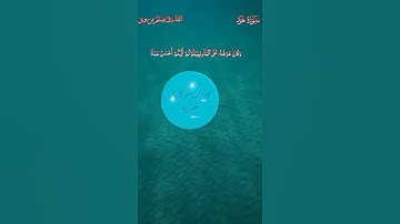 القارئ يسلم بن وبر