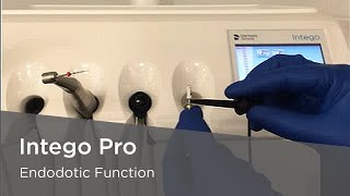 Intego Pro - Endodotic Function
