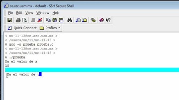 Uso de Printf y Scanf