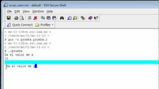 Uso de Printf y Scanf