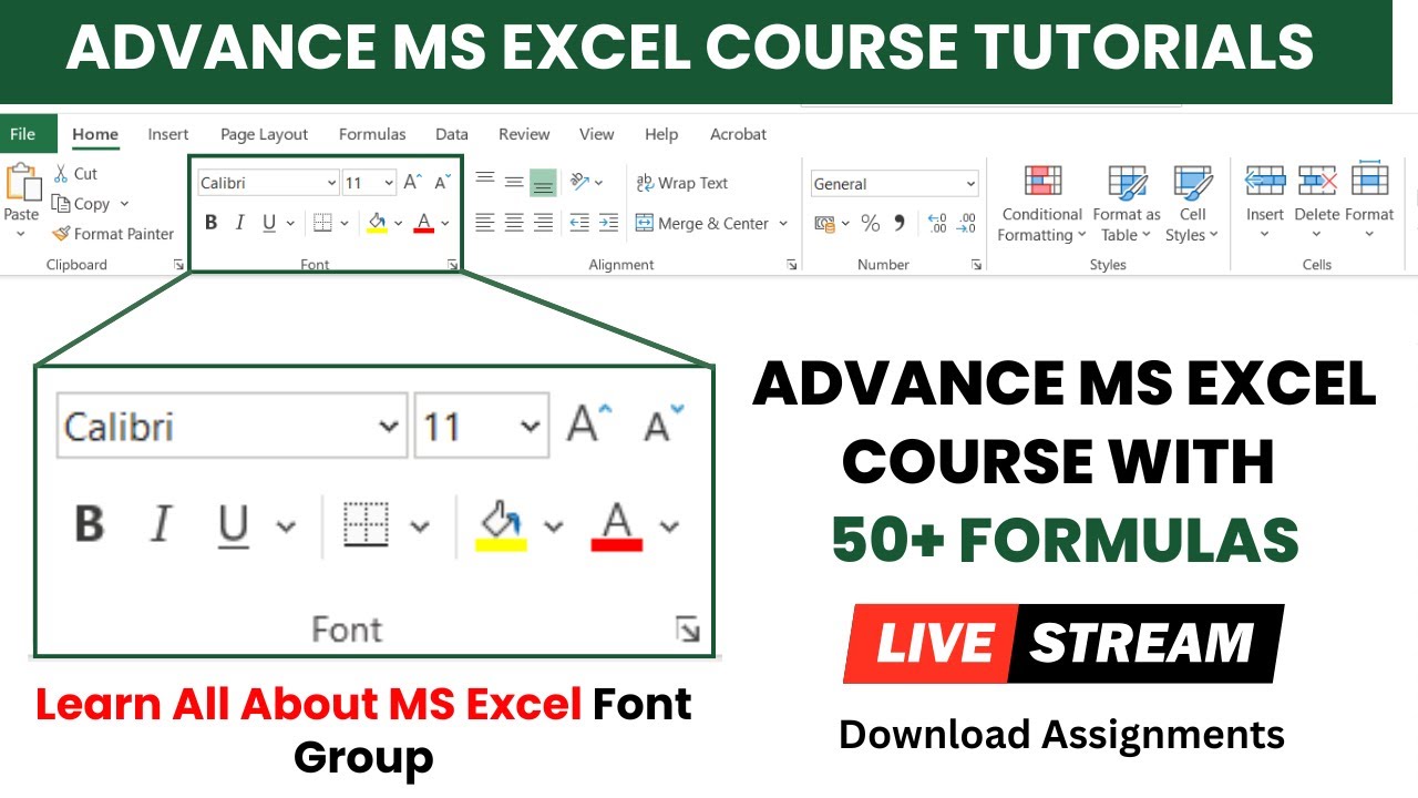 Advance MS Excel Course Tutorials | Learn All About Font Group | Live ...