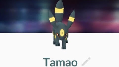Pokemon GO- Evolving an Eevee into Umbreon using the nickname feature