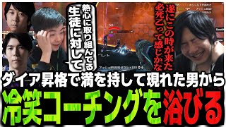 ダイア昇格で満を持して現れた男から冷笑コーチングを浴びるAPEX下手部【APEX】