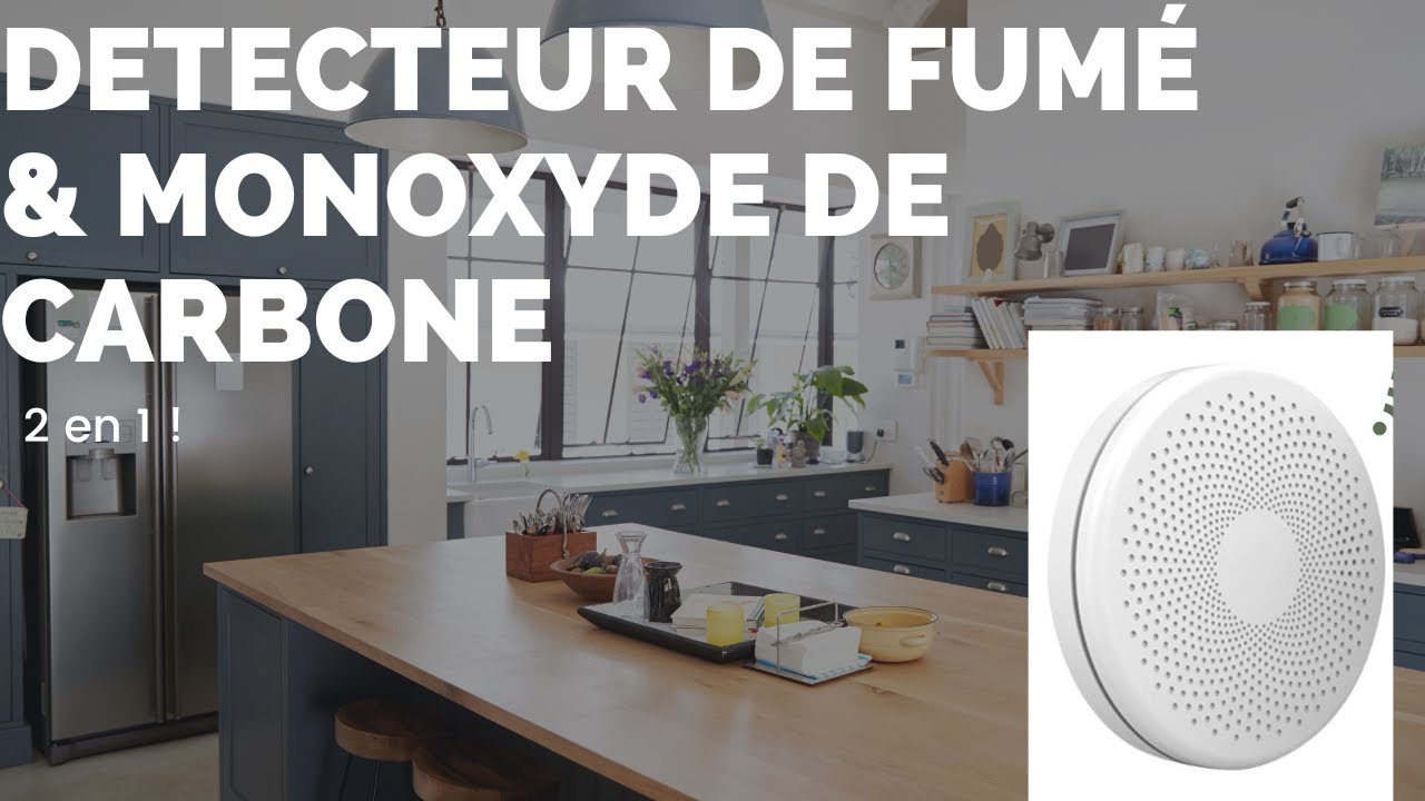 Détecteur de Fumée et de Monoxyde de Carbone avec Batterie de 10 Ans et  Lumière LED, Détecteur Combiné de Fumée et de CO avec Certification  Intertek. 2 Pièce : : Bricolage