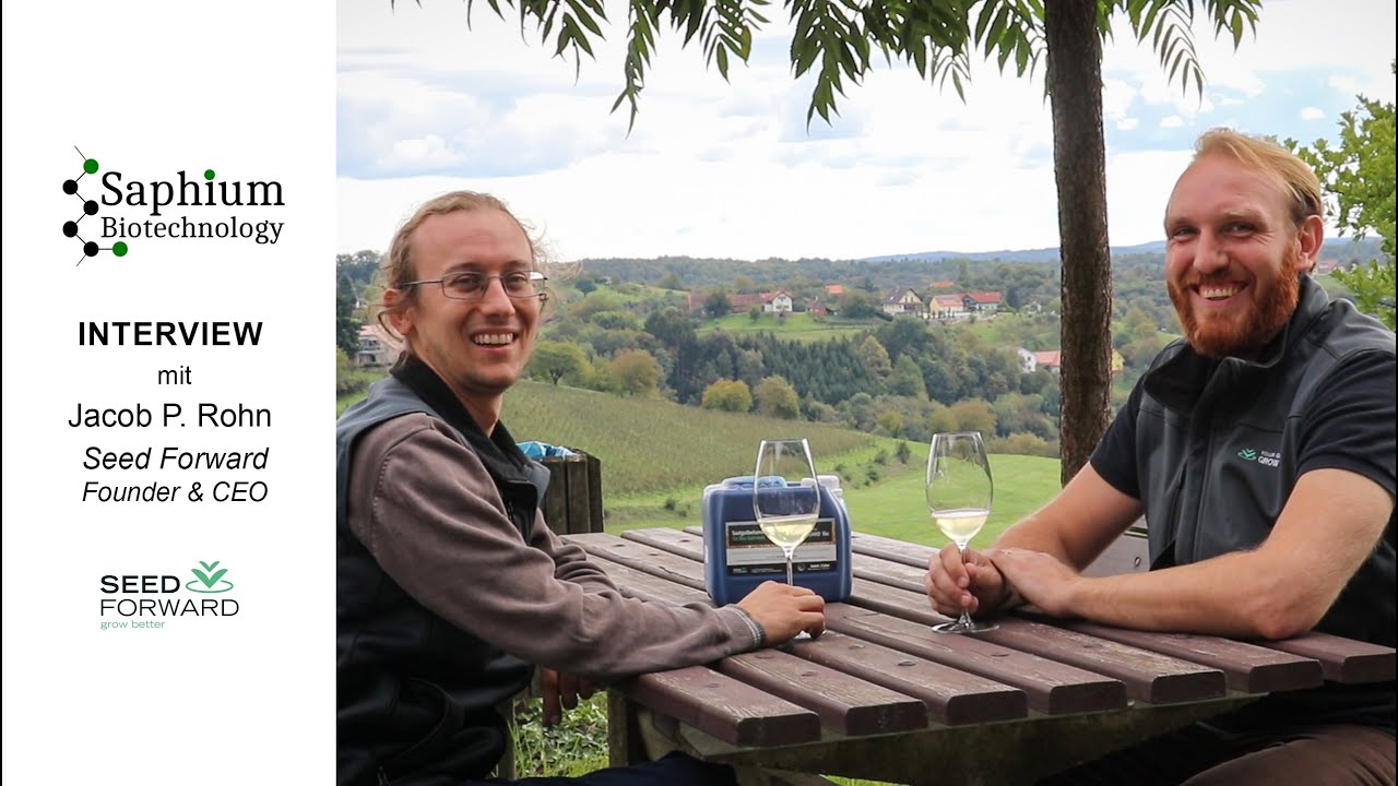 Interview mit Jacob P. Rohn - Founder & CEO von Seed Forward - YouTube