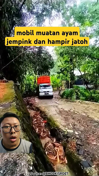 Truk Ayam jemping dan oleng #shorts #truk #automobile #trukoleng #viralvideo #funny