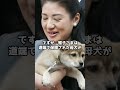 皇室が【野良犬】を拾った訳 #雅子さま #皇室