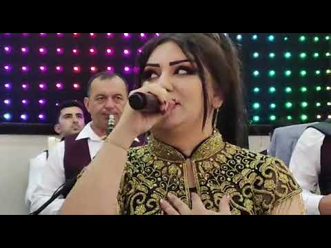 Qalib Memmedov Zamin Berdeli Sefeq Mingecevirli