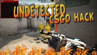 BEST legit looking private hack there is in CSGO