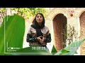 رواية يوتوبيا برنامج دامسكو