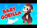 Baby Gorilla Song | Kids Nursery Rhymes | Music For Babies