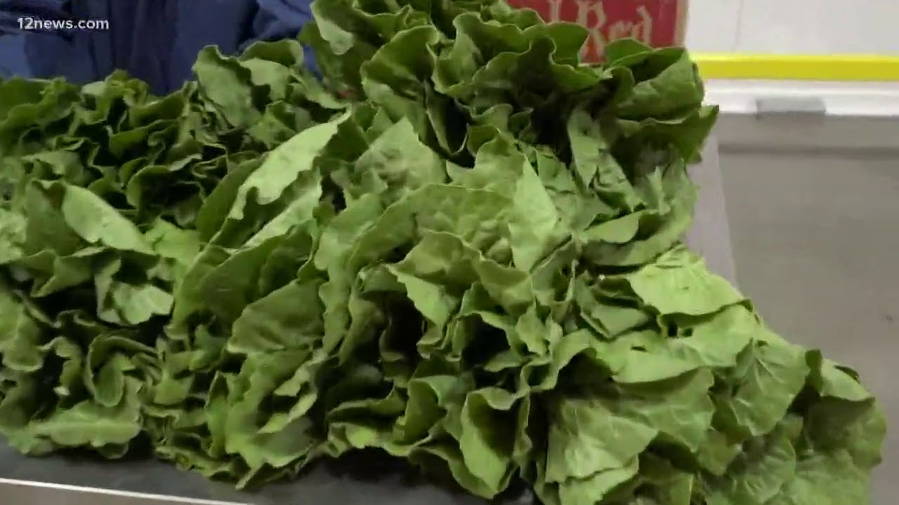 Arizona producer talks about possible recall