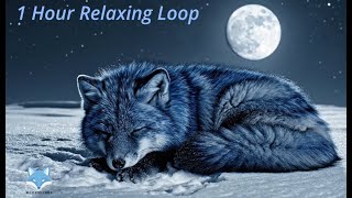 Stillness, Slowly – 1 Hour Ambient Music Loop for Focus & Relax