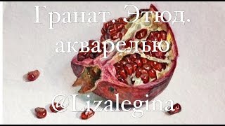 Как нарисовать гранат акварелью