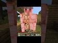 Minecraft #shortsfeed #shorts