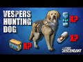Dog Food How Much? | The First Descendant
