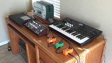 SUNRISE - Akai MPC LIVE II - Korg Wavestate