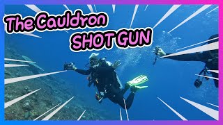 Drift diving at the most famous Komodo dive site "Shot Gun"