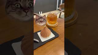 Best Budget Friendly Cafe In Singapore for both coffee and tea lovers