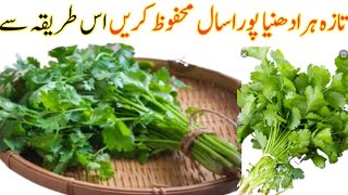 How To Fresh Coriander Long Time Store Hara Dhanya Ko Mehfooz Kren Aik Saal Tak Sonia Khan Remedies