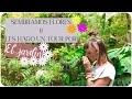 Sembramos flores y hacemos tour por el jardn  viviendo en el bosque  de nova con amor