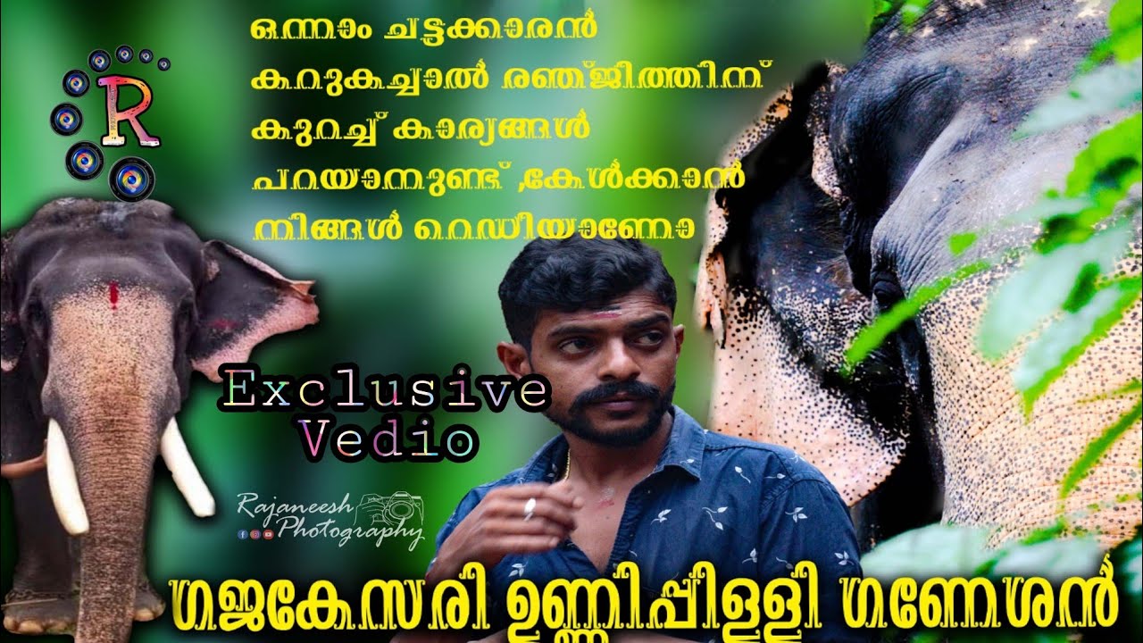 ആനക്കഥ.ഗജകേസരി ഉണ്ണിപ്പിളളി ഗണേശൻ.വിശേഷങ്ങൾ അറിയാംUnnipilly Ganesan.Exclusive Vedio.Kerala Elephant.