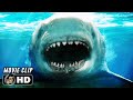 Shark Attack Scene from MEG 2: The Trench (2023) 🦈