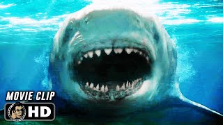 Shark Attack Scene | MEG 2 THE TRENCH (2023) Action, Movie CLIP HD
