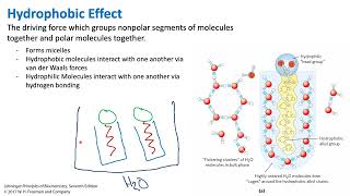 Hydrophobic Effects – How to Create them and Why