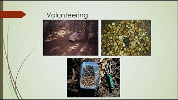 J Courtenay - Citizen Science For Threatened Species Conservation of Gilberts Potoroo