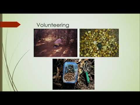 J Courtenay - Citizen Science For Threatened Species Conservation of Gilberts Potoroo